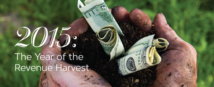 2015: The year of the revenue harvest